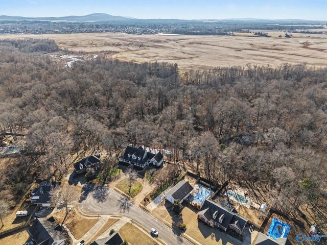 202 Andrea Kaye Court, Hazel Green, AL 35750