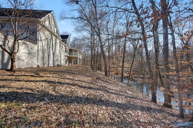 202 Andrea Kaye Court, Hazel Green, AL 35750