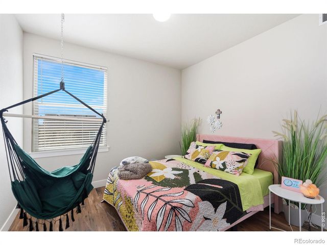 4525 Ingalls Drive, Wellington, CO 80549