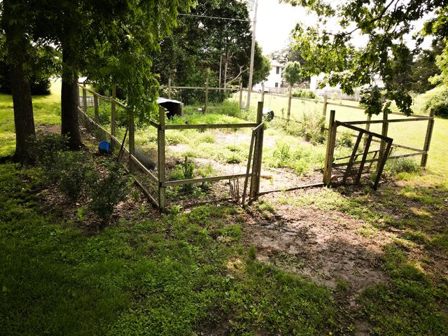 5350 E Farm Rd 168, Rogersville, MO 65742