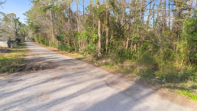 TBD Mcgager Drive, New Caney, TX 77357
