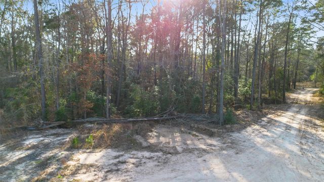 TBD Mcgager Drive, New Caney, TX 77357