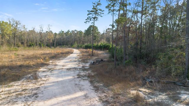 TBD Mcgager Drive, New Caney, TX 77357