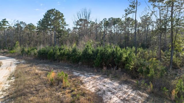 TBD Mcgager Drive, New Caney, TX 77357