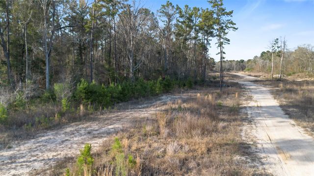 TBD Mcgager Drive, New Caney, TX 77357