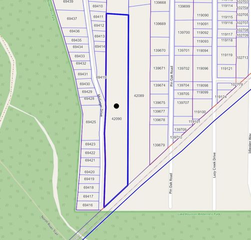 TBD Mcgager Drive, New Caney, TX 77357