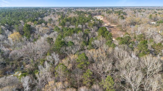 TBD Mcgager Drive, New Caney, TX 77357