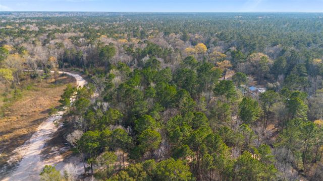 TBD Mcgager Drive, New Caney, TX 77357