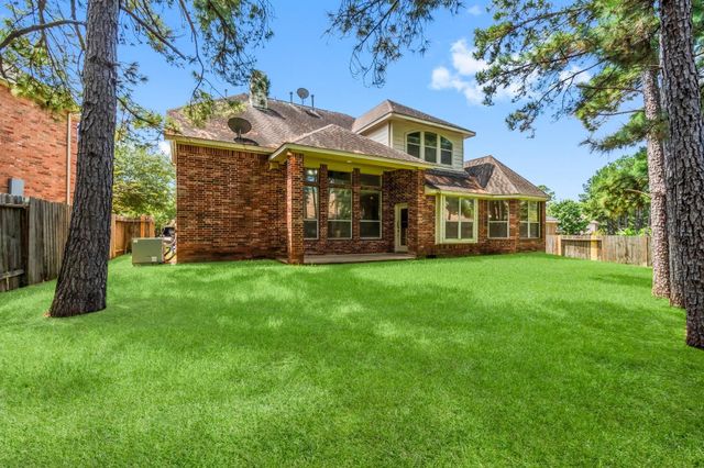 10 Majolica Place, The Woodlands, TX 77382