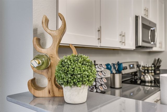 901 Juno Lane, Denton, TX 76209