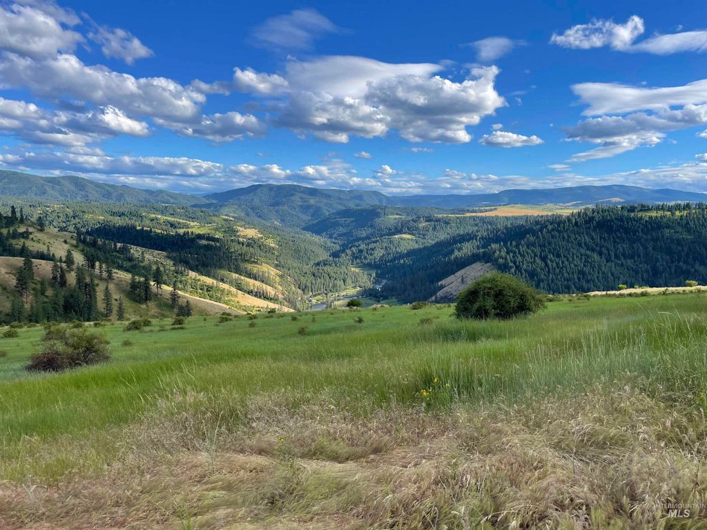 TBD Brotnov Rd., Clearwater, ID 83552