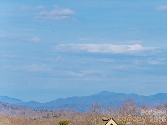 1031 Hillside Ridge Road, Candler, NC 28715