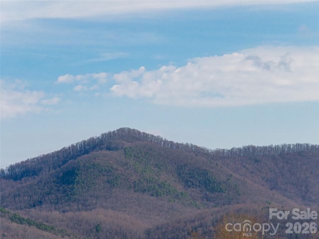 1031 Hillside Ridge Road, Candler, NC 28715