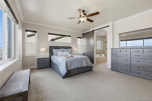 7210 Silver Buckle Drive, Colorado Springs, CO 80923