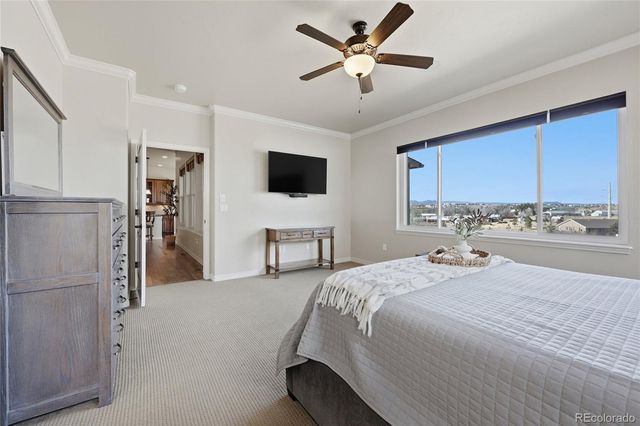 7210 Silver Buckle Drive, Colorado Springs, CO 80923