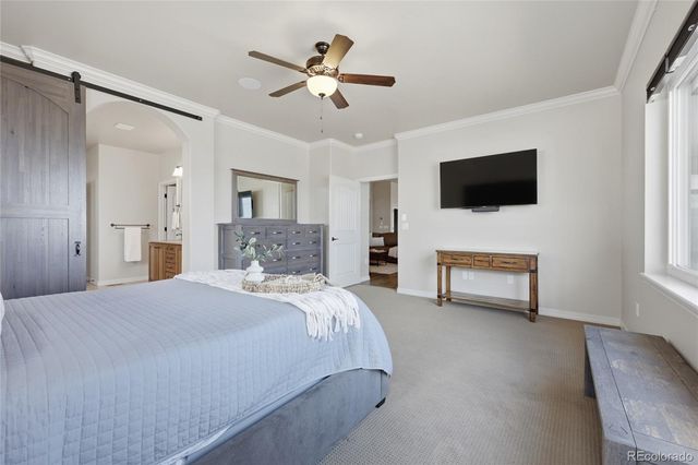 7210 Silver Buckle Drive, Colorado Springs, CO 80923