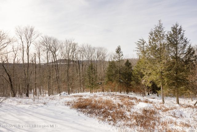 640 Red Hill Knolls Road, Grahamsville, NY 12740