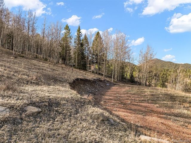 690 Anges Drive, Cripple Creek, CO 80813