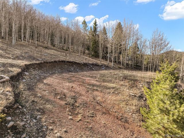 690 Anges Drive, Cripple Creek, CO 80813