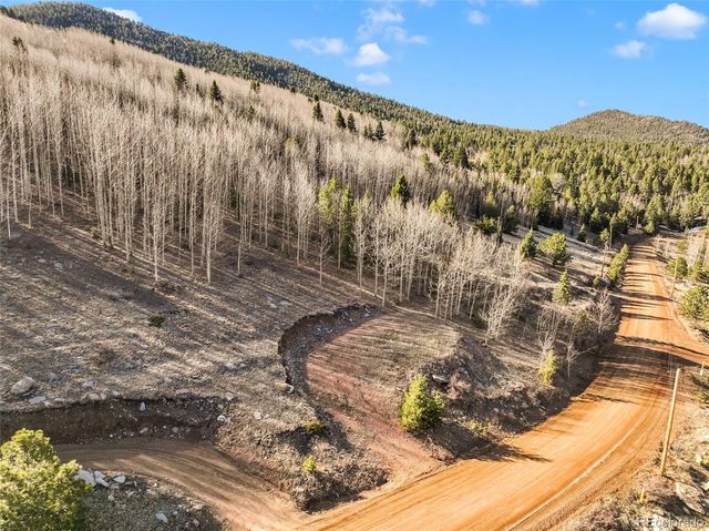 690 Anges Drive, Cripple Creek, CO 80813