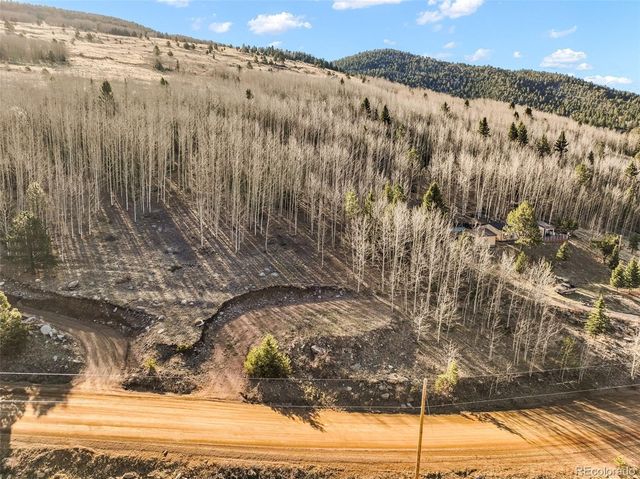 690 Anges Drive, Cripple Creek, CO 80813
