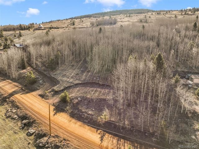 690 Anges Drive, Cripple Creek, CO 80813