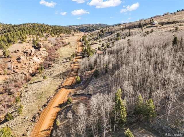 690 Anges Drive, Cripple Creek, CO 80813