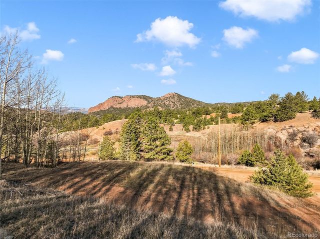 690 Anges Drive, Cripple Creek, CO 80813