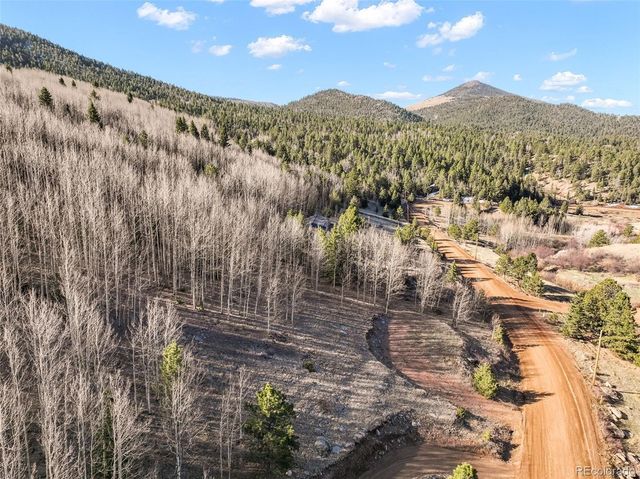 690 Anges Drive, Cripple Creek, CO 80813