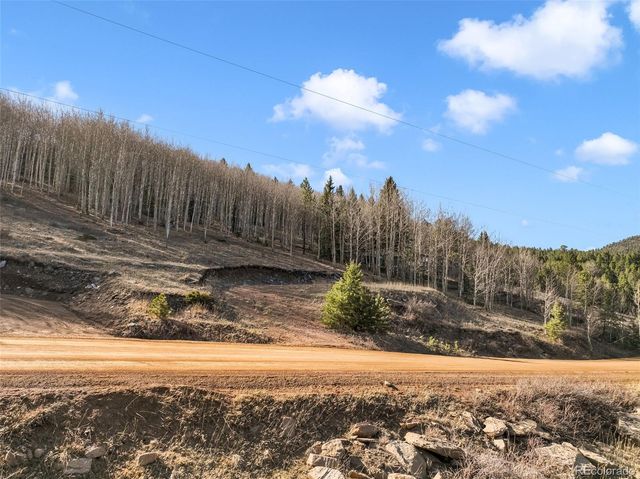 690 Anges Drive, Cripple Creek, CO 80813