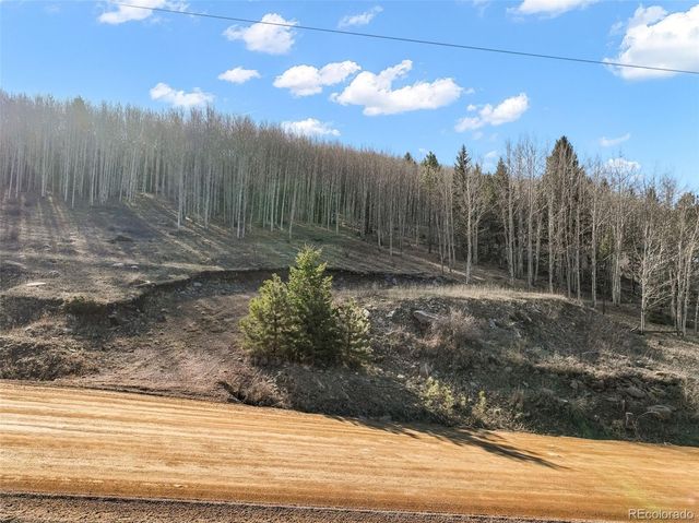 690 Anges Drive, Cripple Creek, CO 80813