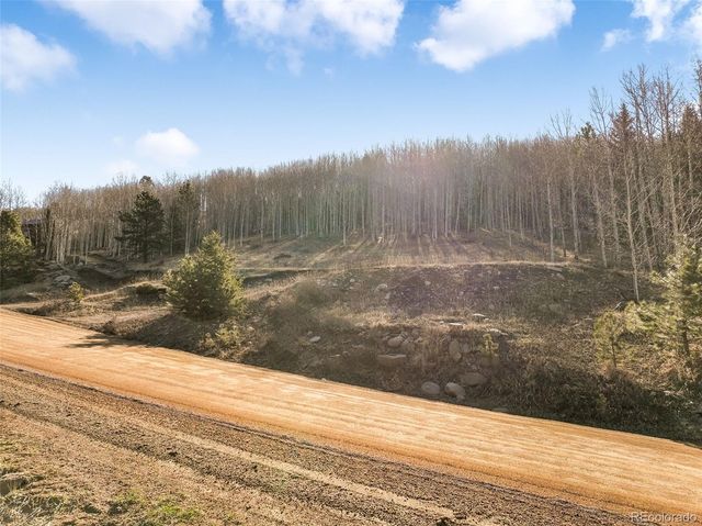 690 Anges Drive, Cripple Creek, CO 80813
