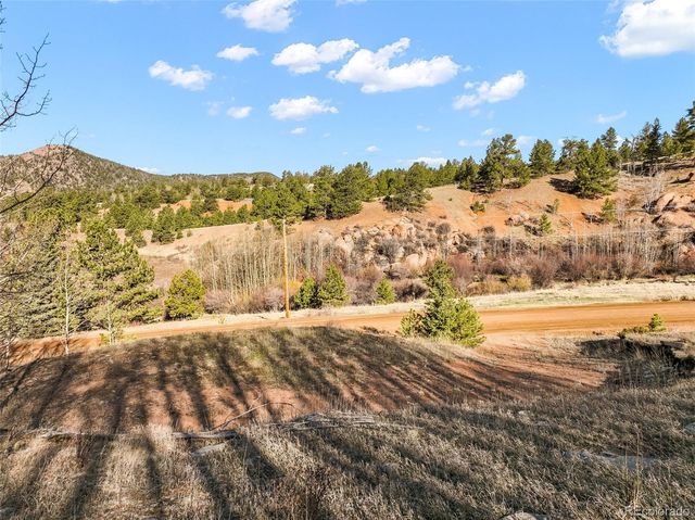 690 Anges Drive, Cripple Creek, CO 80813
