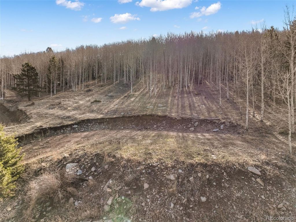690 Anges Drive, Cripple Creek, CO 80813