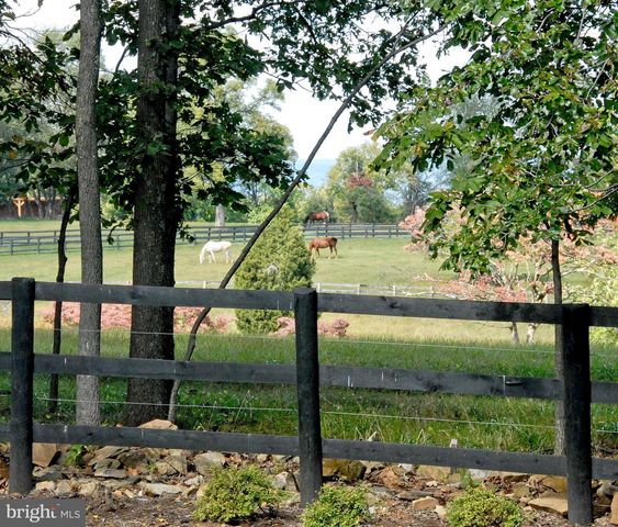 40436 BEACON HILL DR, Leesburg, VA 20176