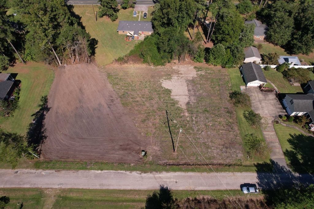 2 Lots - Golfview Circle, Johnsonville, SC 29555 — photo 2