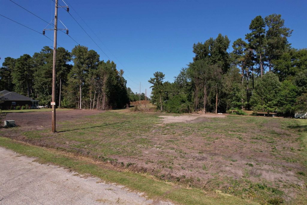 2 Lots - Golfview Circle, Johnsonville, SC 29555 — photo 3