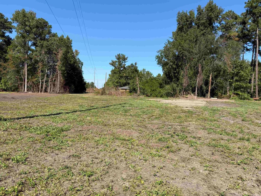 2 Lots - Golfview Circle, Johnsonville, SC 29555 — photo 4