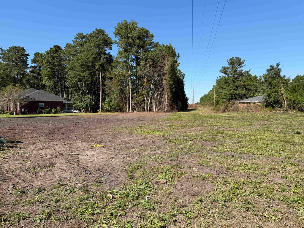 2 Lots - Golfview Circle, Johnsonville, SC 29555 — photo 5
