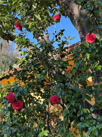 2500 Benedict Canyon, Beverly Hills, CA 90210