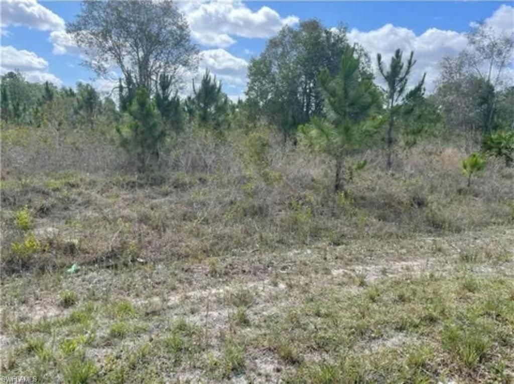 761/763 Bedford DR, LEHIGH ACRES, FL 33974 — photo 2