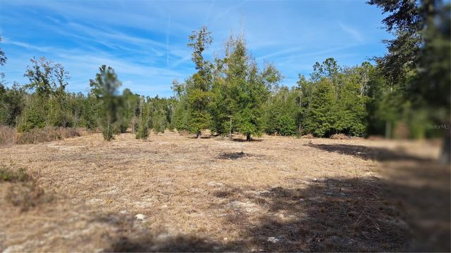 669 SW SHILOH STREET, Fort White, FL 32038