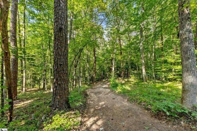 300 Chastain Hill Road, Taylors, SC 29687