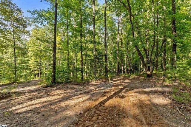 300 Chastain Hill Road, Taylors, SC 29687