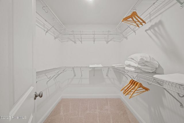 100 Leines Way B, Greenville, NC 27834