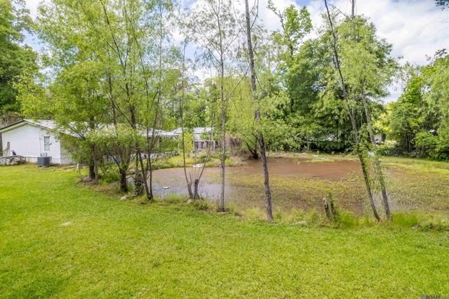 36162 Walker North Rd, Walker, LA 70785