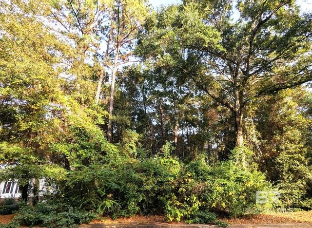 0 Montrose Woods Drive, Fairhope, AL 36532
