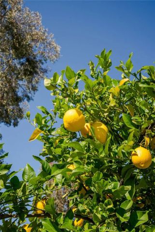 10843 Morning Ridge, Moreno Valley, CA 92557