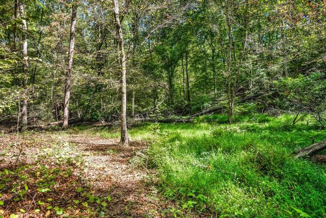 6595 Akins Way, Cumming, GA 30041