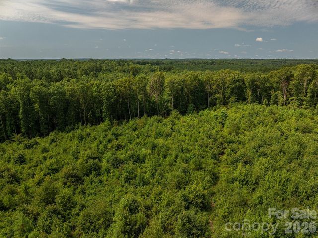 00 McCurry Farm Lane F1, F2 & F3, Lincolnton, NC 28092